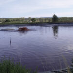 Étanchéité bassin eaux pluviales enterré
